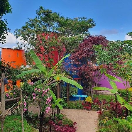 Chameleon Hill Forest Lodge Bwindi Impenetrable Park Extérieur photo