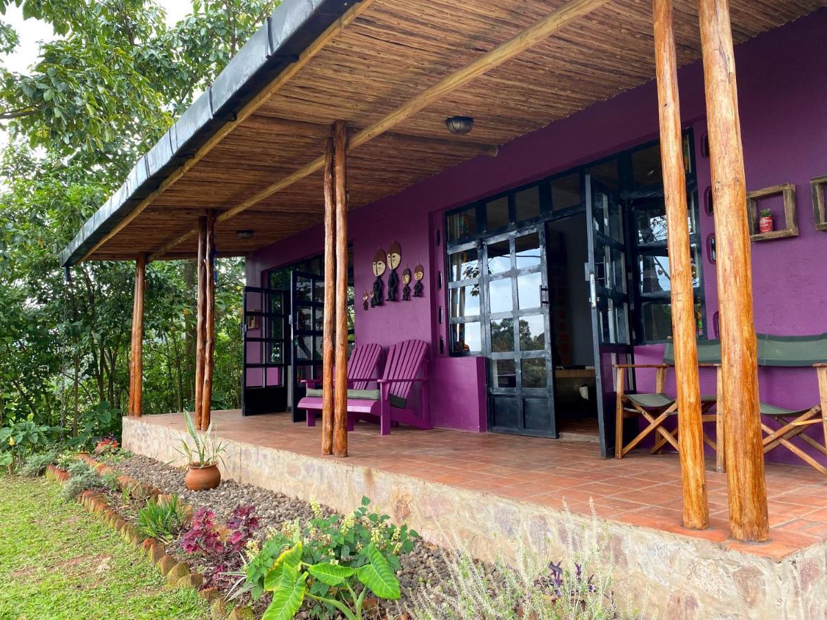 Chameleon Hill Forest Lodge Bwindi Impenetrable Park Extérieur photo