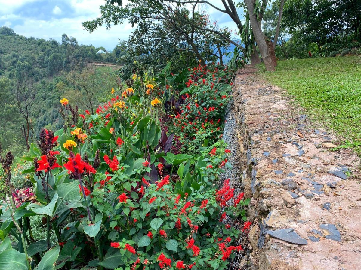 Chameleon Hill Forest Lodge Bwindi Impenetrable Park Extérieur photo