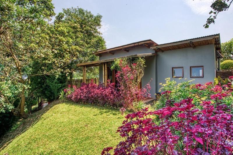 Chameleon Hill Forest Lodge Bwindi Impenetrable Park Extérieur photo